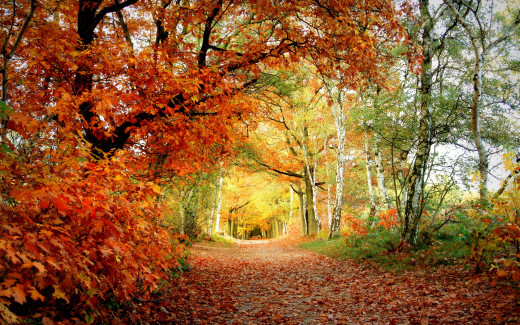 594469 (a): :2560x1600